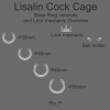 Lisalin Cock CageBase Ring Versions and Lock mechanic Overview.png
