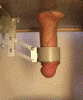 File_003.gif