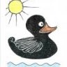 duc