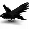 feathers.sub